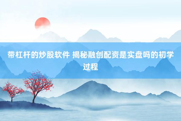带杠杆的炒股软件 揭秘融创配资是实盘吗的初学过程