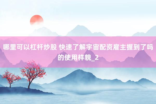 哪里可以杠杆炒股 快速了解宇宙配资雇主握到了吗的使用样貌_2