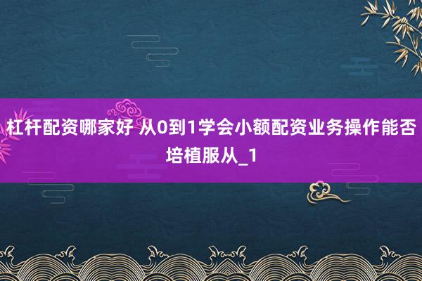 杠杆配资哪家好 从0到1学会小额配资业务操作能否培植服从_1