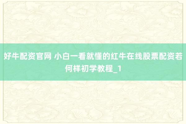 好牛配资官网 小白一看就懂的红牛在线股票配资若何样初学教程_1