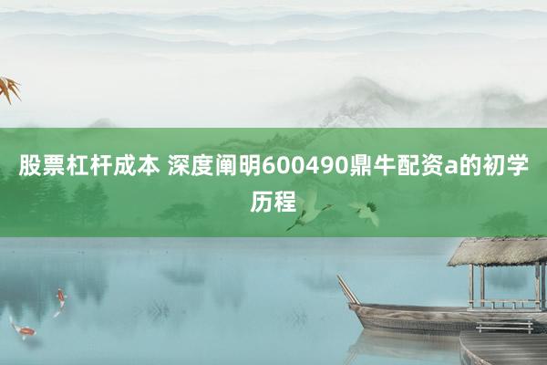 股票杠杆成本 深度阐明600490鼎牛配资a的初学历程