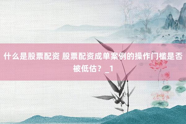 什么是股票配资 股票配资成单案例的操作门槛是否被低估？_1