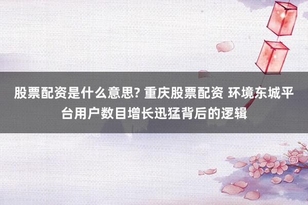 股票配资是什么意思? 重庆股票配资 环境东城平台用户数目增长迅猛背后的逻辑
