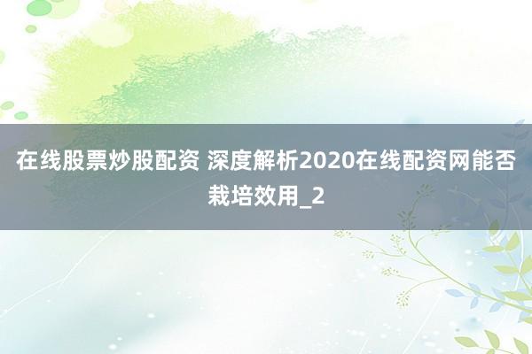 在线股票炒股配资 深度解析2020在线配资网能否栽培效用_2