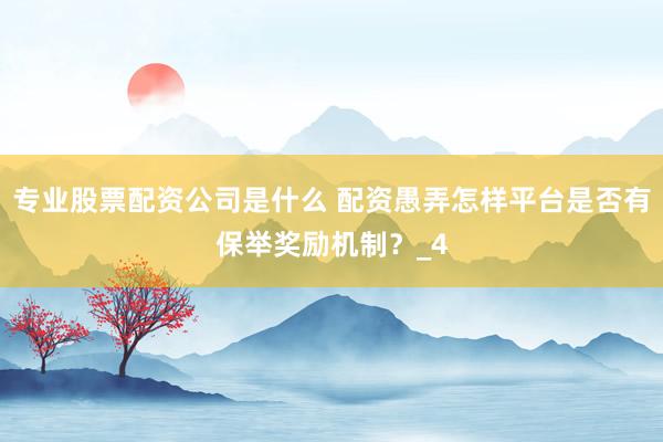 专业股票配资公司是什么 配资愚弄怎样平台是否有保举奖励机制？_4