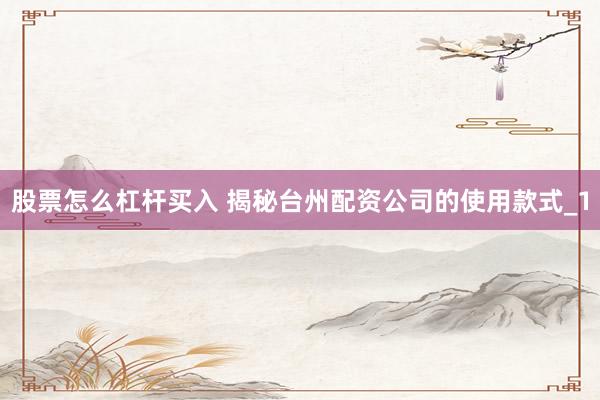 股票怎么杠杆买入 揭秘台州配资公司的使用款式_1