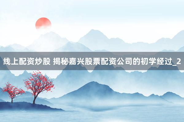 线上配资炒股 揭秘嘉兴股票配资公司的初学经过_2