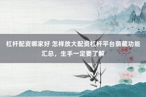 杠杆配资哪家好 怎样放大配资杠杆平台荫藏功能汇总，生手一定要了解