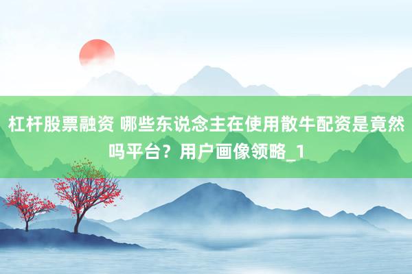 杠杆股票融资 哪些东说念主在使用散牛配资是竟然吗平台？用户画像领略_1