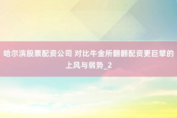 哈尔滨股票配资公司 对比牛金所翻翻配资更巨擘的上风与弱势_2
