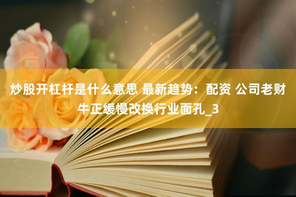 炒股开杠杆是什么意思 最新趋势：配资 公司老财牛正缓慢改换行业面孔_3