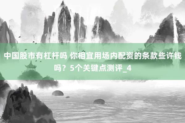 中国股市有杠杆吗 你相宜用场内配资的条款些许钱吗？5个关键点测评_4