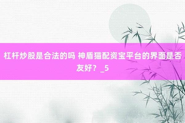 杠杆炒股是合法的吗 神盾猫配资宝平台的界面是否友好？_5