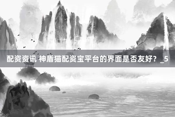配资资讯 神盾猫配资宝平台的界面是否友好？_5