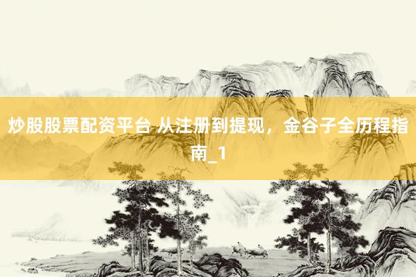 炒股股票配资平台 从注册到提现，金谷子全历程指南_1