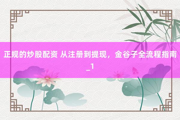 正规的炒股配资 从注册到提现，金谷子全流程指南_1