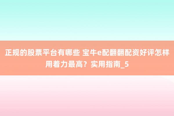 正规的股票平台有哪些 宝牛e配翻翻配资好评怎样用着力最高？实用指南_5