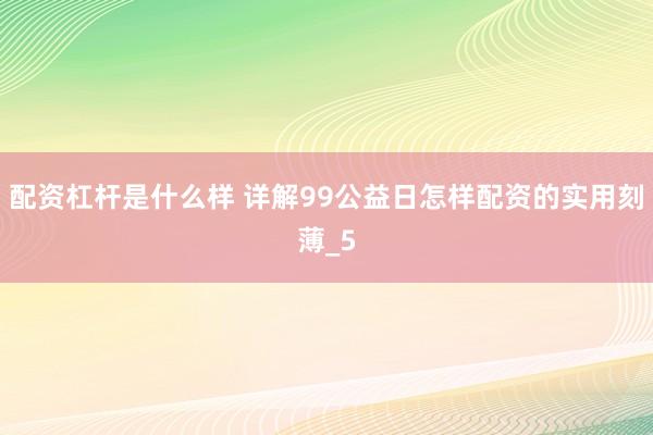 配资杠杆是什么样 详解99公益日怎样配资的实用刻薄_5