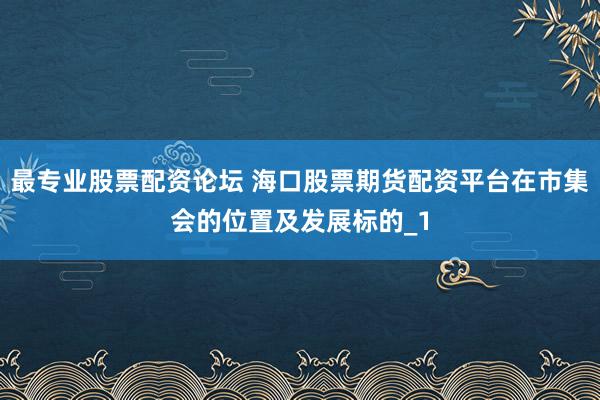 最专业股票配资论坛 海口股票期货配资平台在市集会的位置及发展标的_1