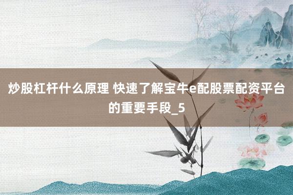 炒股杠杆什么原理 快速了解宝牛e配股票配资平台的重要手段_5