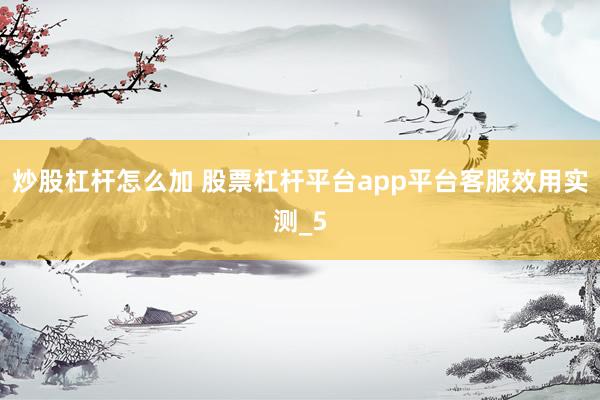 炒股杠杆怎么加 股票杠杆平台app平台客服效用实测_5